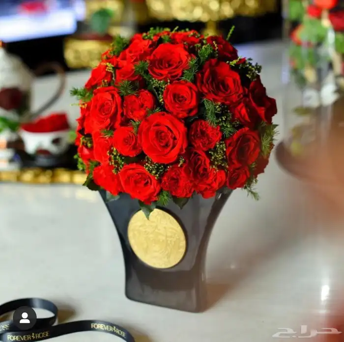 بضاعه ورود واكسسوارات 56