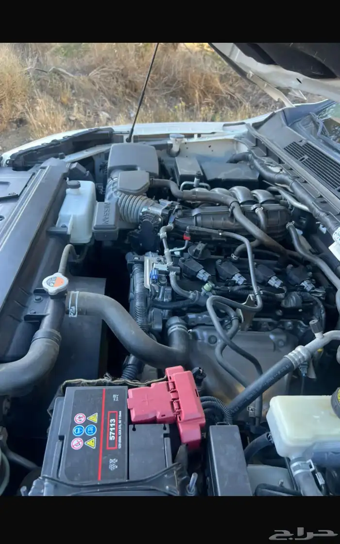 نافارا قير عايدي 2016 9