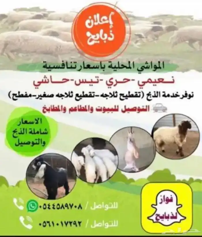 ذبايح شامل ذبح وتوصيل 0