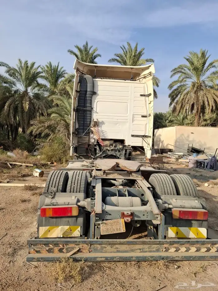 راس فلفو لليع 1