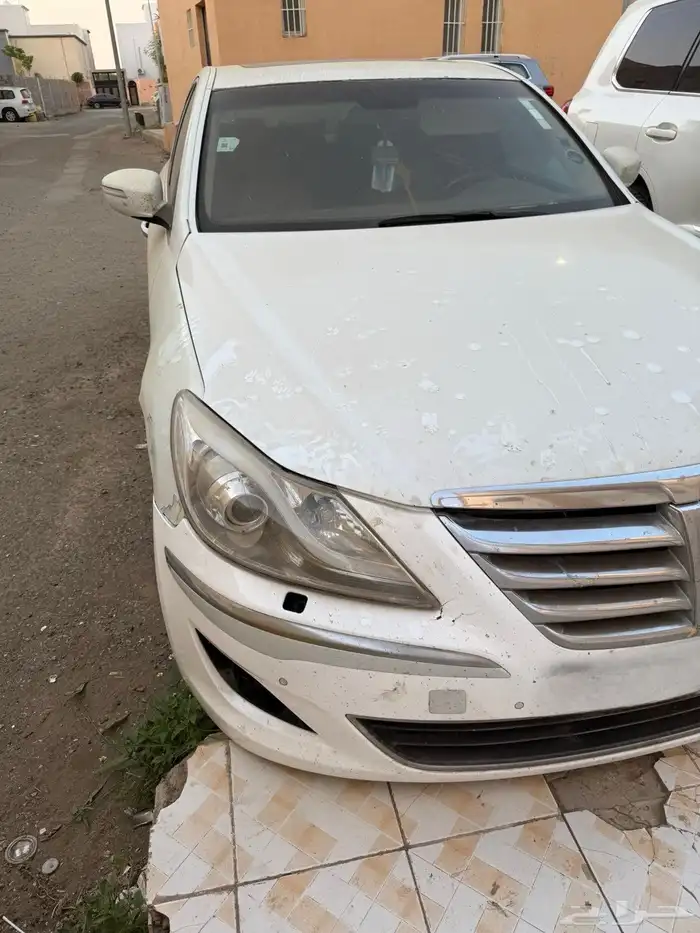 جنيسيس 2012 16