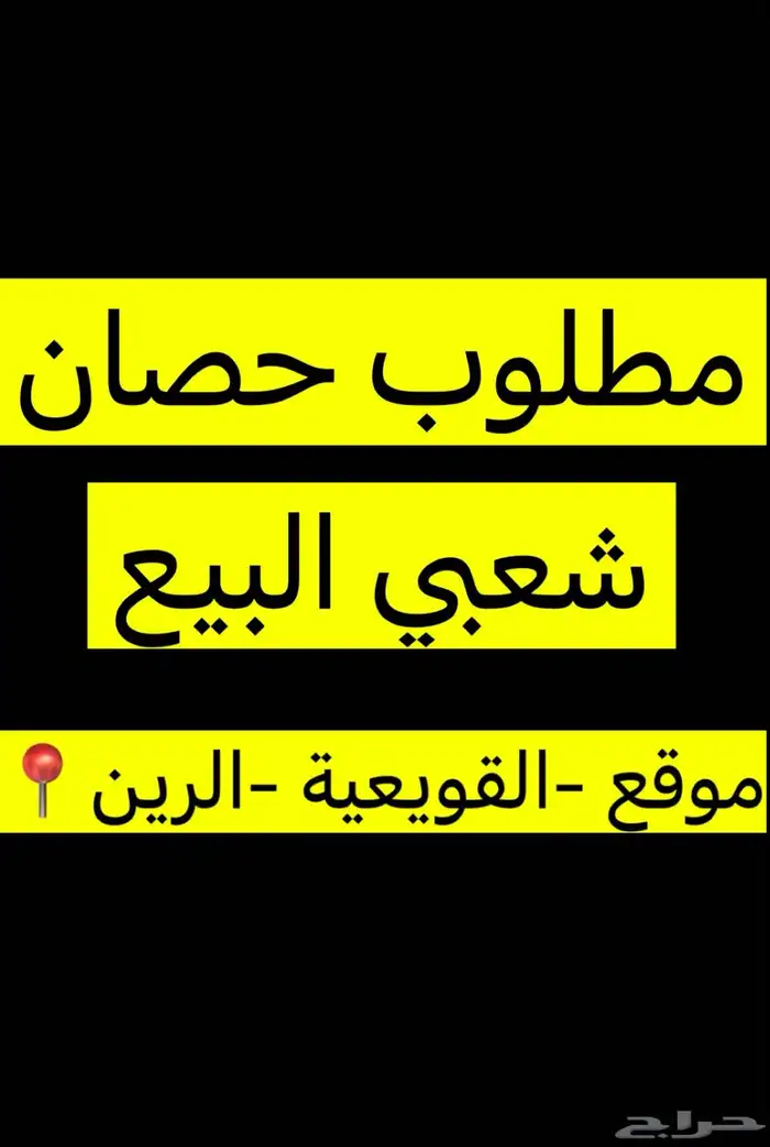 مطلوب حصان البيع 0