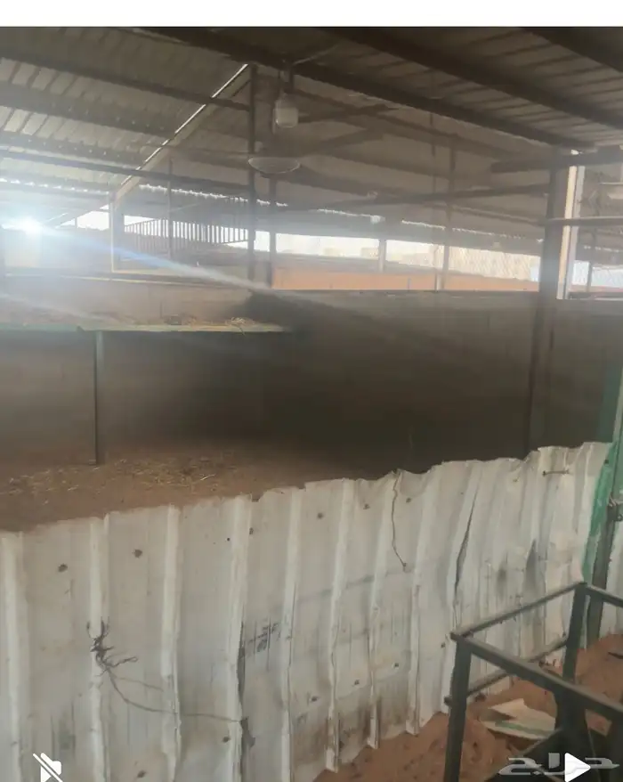 حوش غنم للتقبيل سوق الجربوع 6