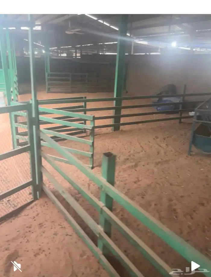 حوش غنم للتقبيل سوق الجربوع 3