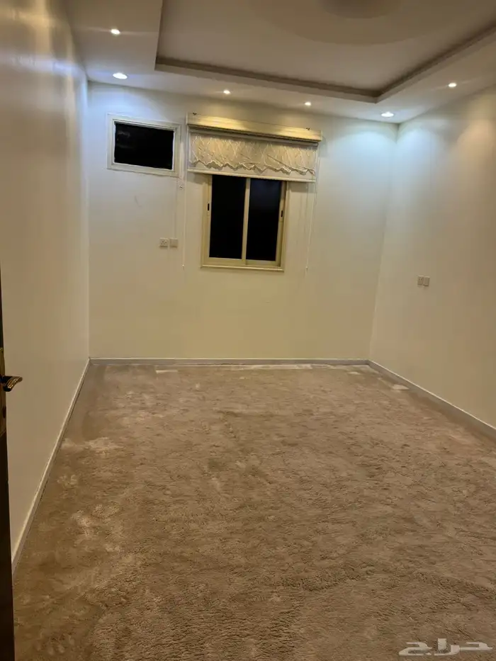 شقه مؤثثه 11