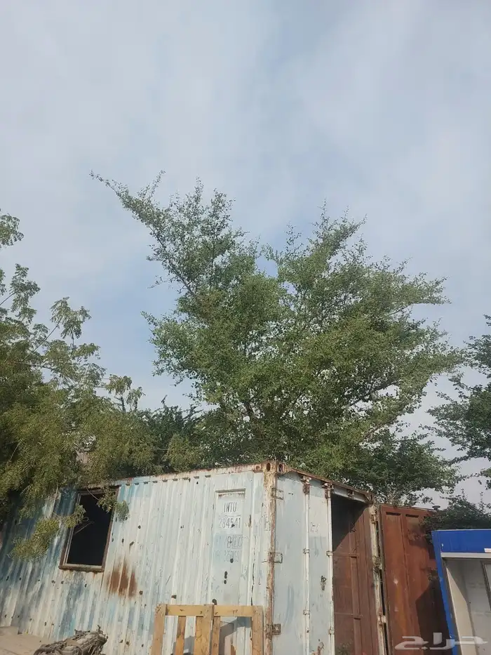 للبيع كنتيره العدد 2 2