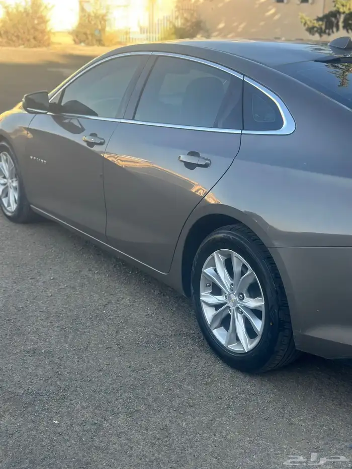 ماليبو 2020 11