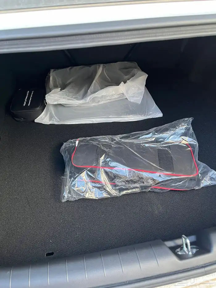 اكسنت استاندر فليت 2026 5