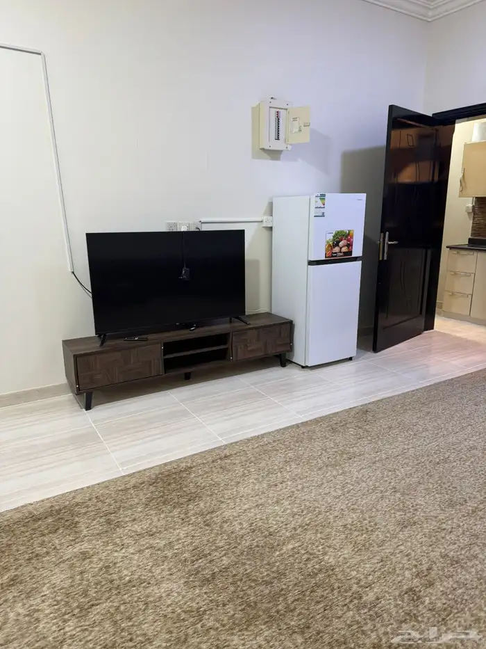 شقه عزاب مفروشه للايجار 1