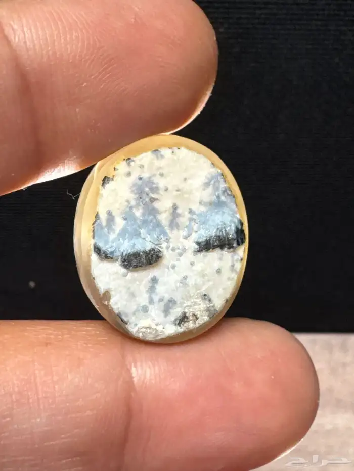 عقيق يماني شجري مصور نوادر 2