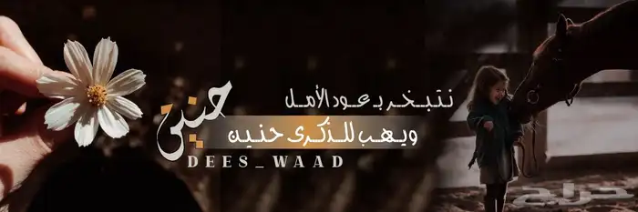 تصميم جرافيك على ادوبي الستريتر وفوتوشوب 17