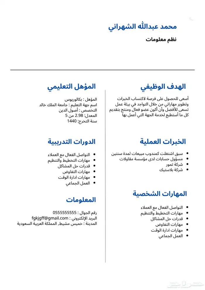 تصميم سيرة ذاتية احترافية ضمان كامل ب15 10