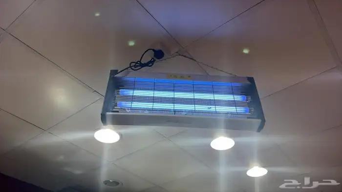 مطعم للتقبيل أو البيع الأغراض 15