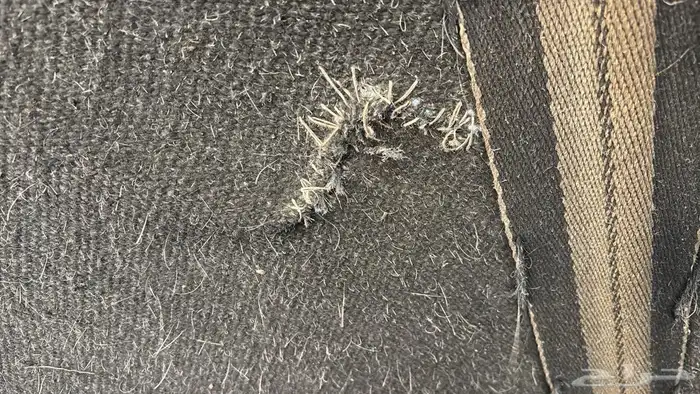 بيت شعر للبيع 4