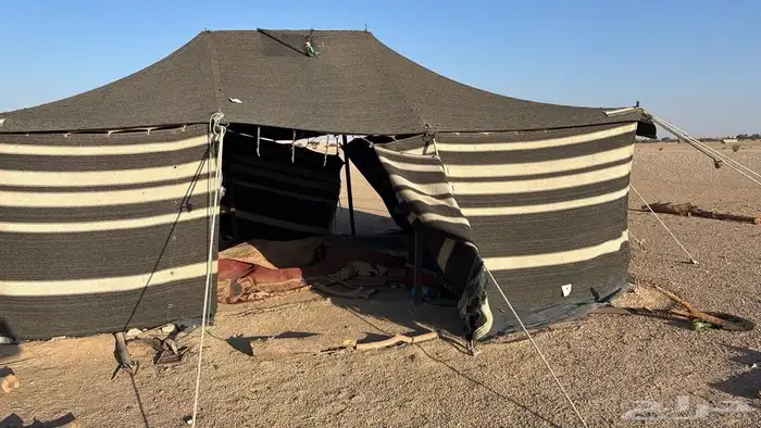 بيت شعر للبيع 1