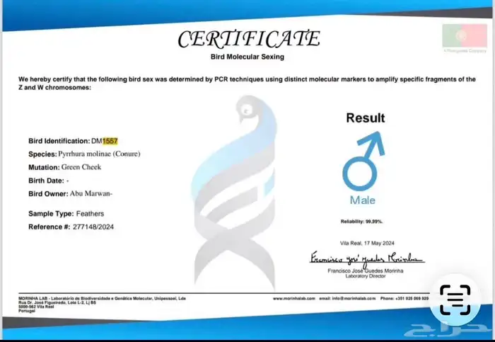 عرض تحليل DNA لجميع انواع الطيور ( سرعة نتائج ) 0