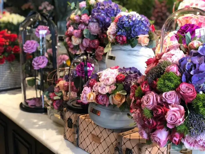 بضاعه ورود واكسسوارات 29