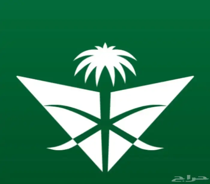 الخطوط السعوديه 0
