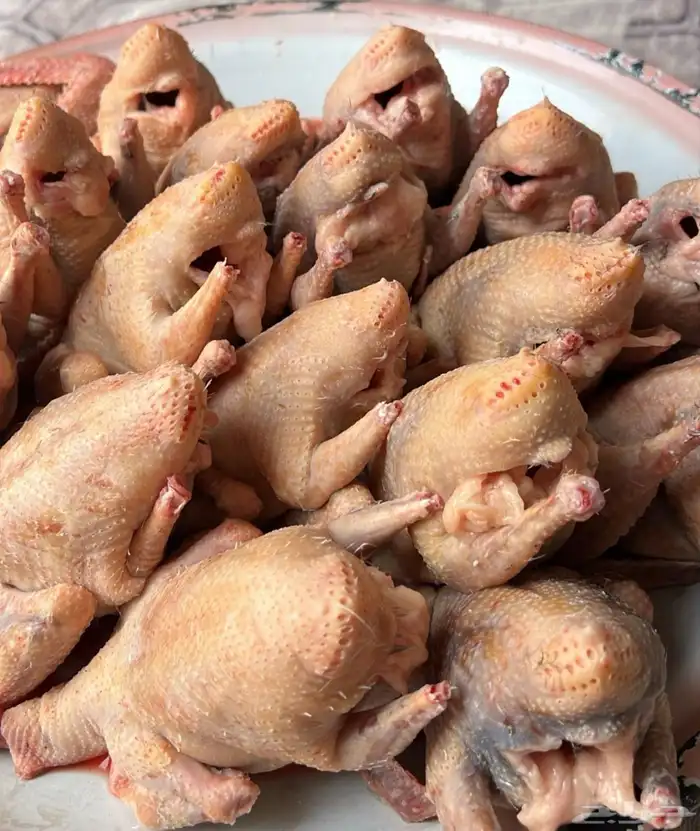 زغاليل حمام 0