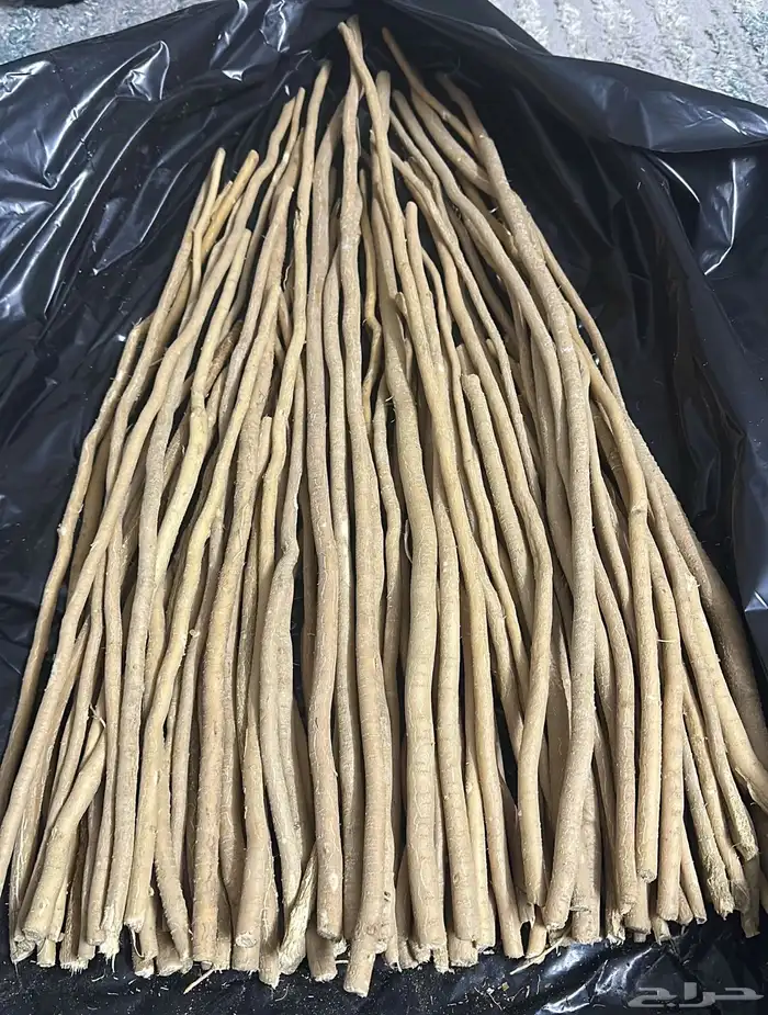 مساويك ابو حنش فاخرة حلوي وطويل بيع بالجملة او قطاعي 1