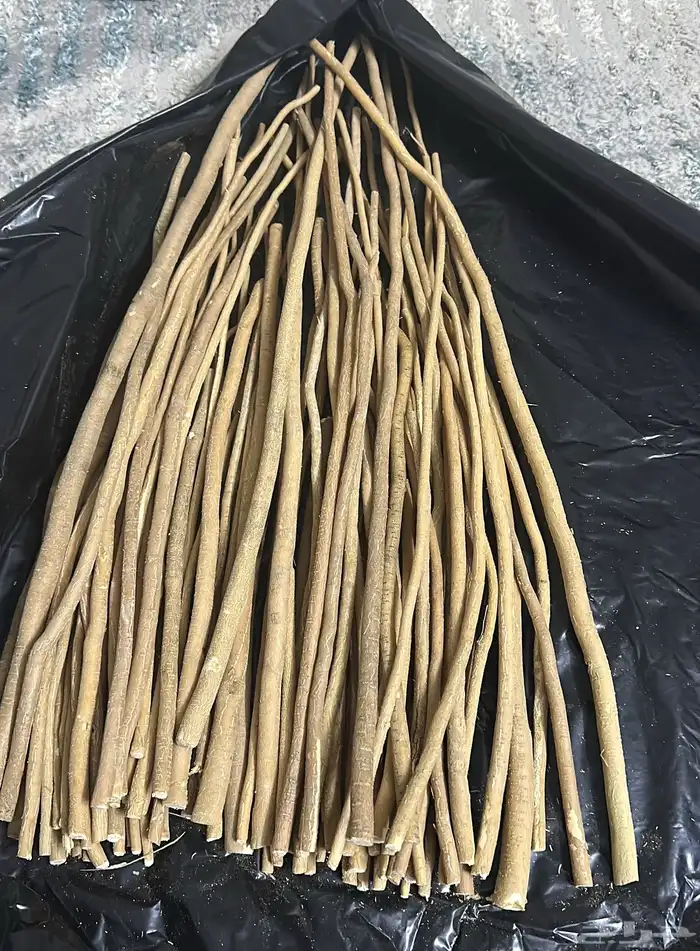 مساويك ابو حنش فاخرة حلوي وطويل بيع بالجملة او قطاعي 2