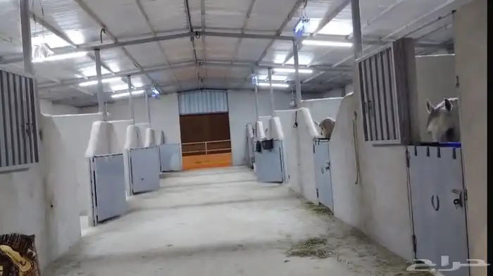 اسطبل الحنيه غرف للايواء فخامه 4