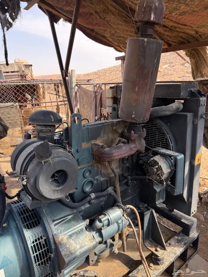 مكينه ام فلفله هنديه الموقع الخرج حجم 35 كيلو 2