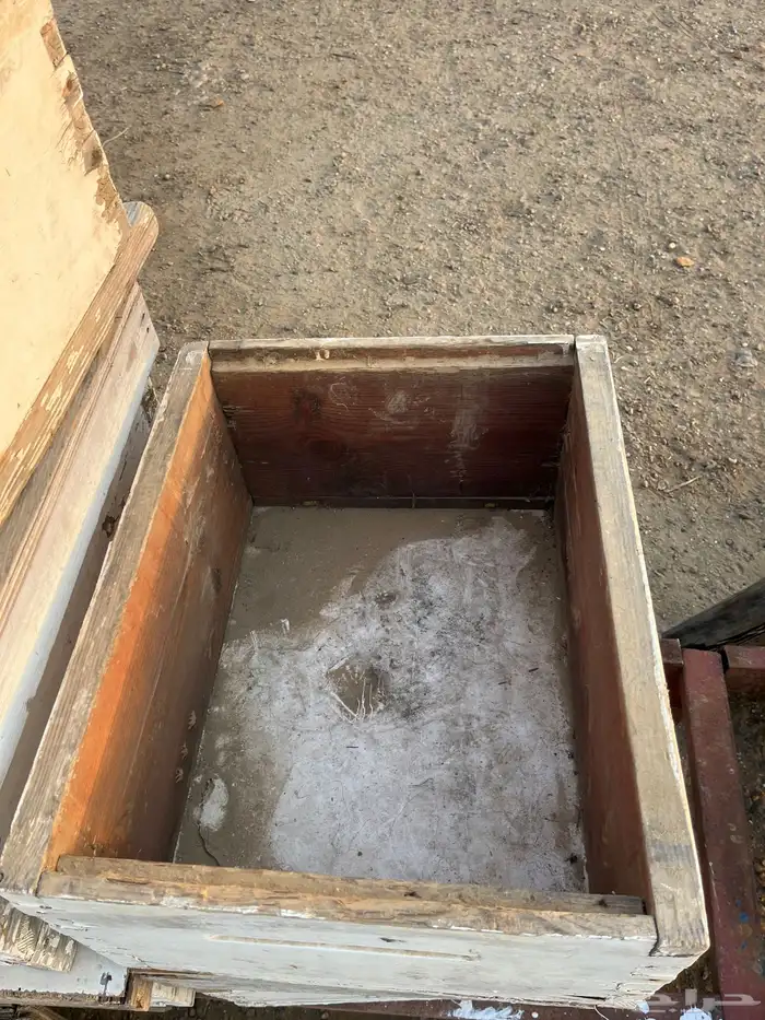 خلايا نحل افرنجي 23