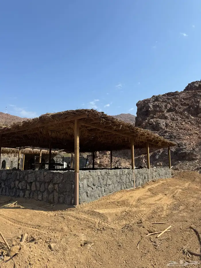 سعف نخل جريد توصل إلي جميع انحاء المملكة 5