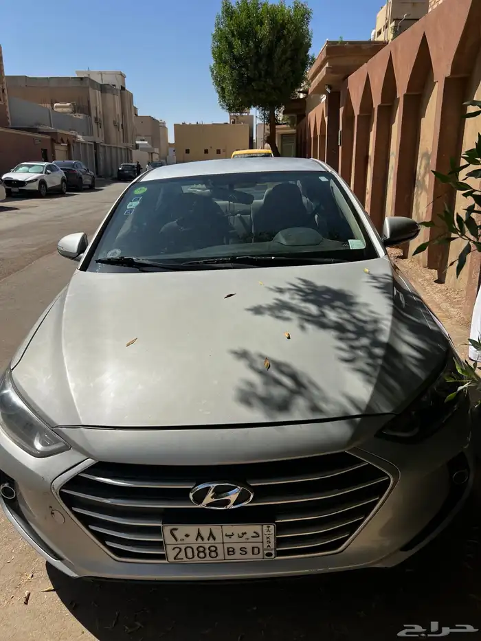 النترا 2018 19