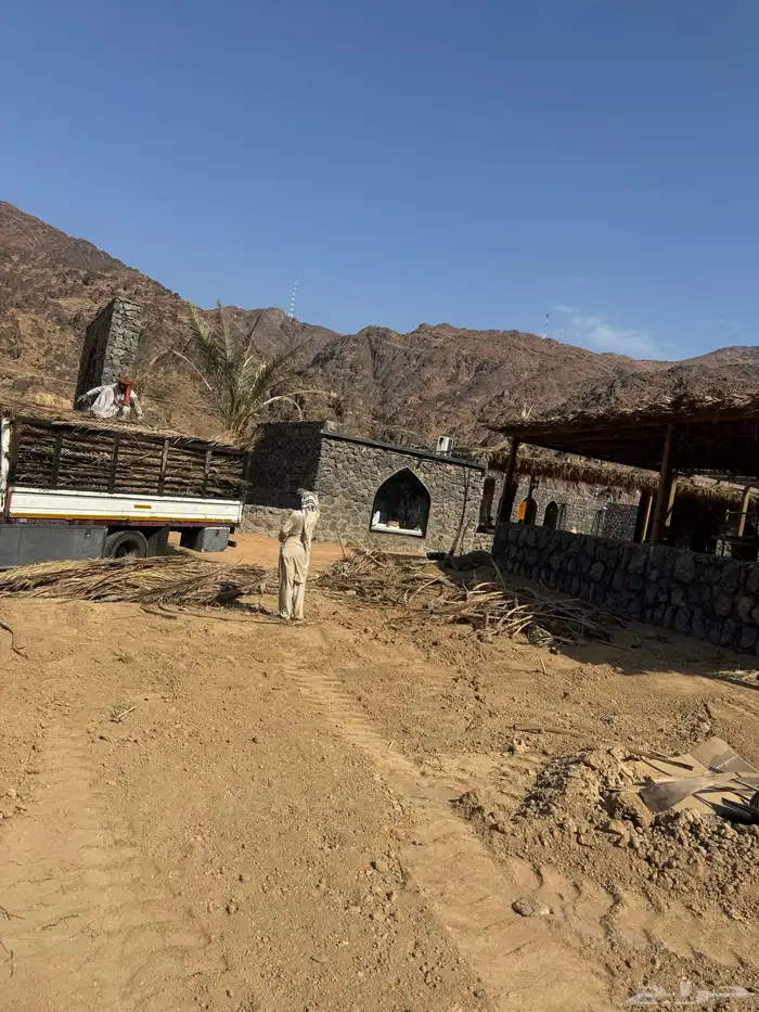 سعف نخل جريد توصل إلي جميع انحاء المملكة 4