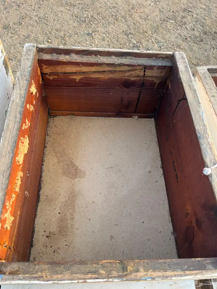 خلايا نحل افرنجي 11