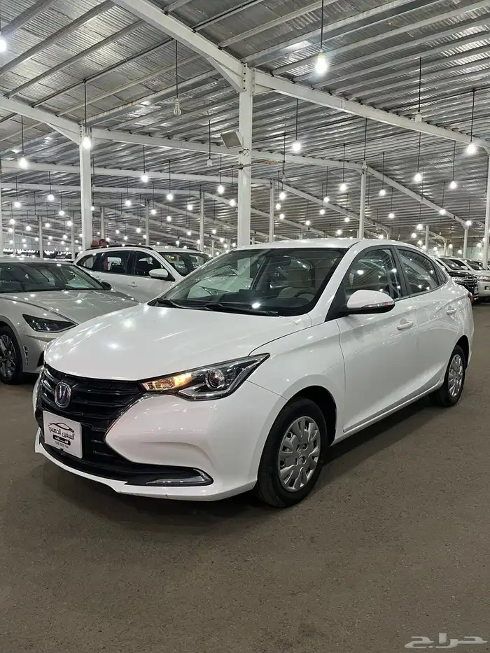 شانجان السفن 2024 0