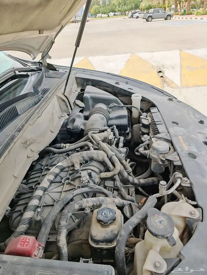 ترافيرس وكاله نظظيف كاش او اقصاد 6 اشهر 22