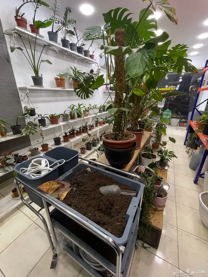 مشتل للبيع بضاعة محل كامل لتغيير النشاط 5