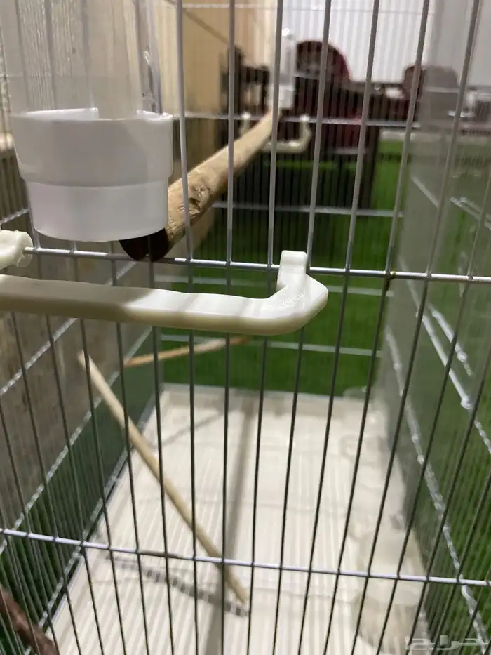 قفص طيور كبير 2