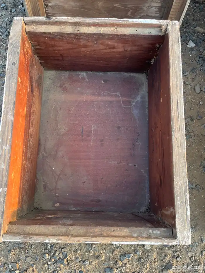 خلايا نحل افرنجي 17