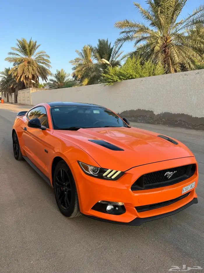 للبيع موستنج 2015 نظيف جدا 9