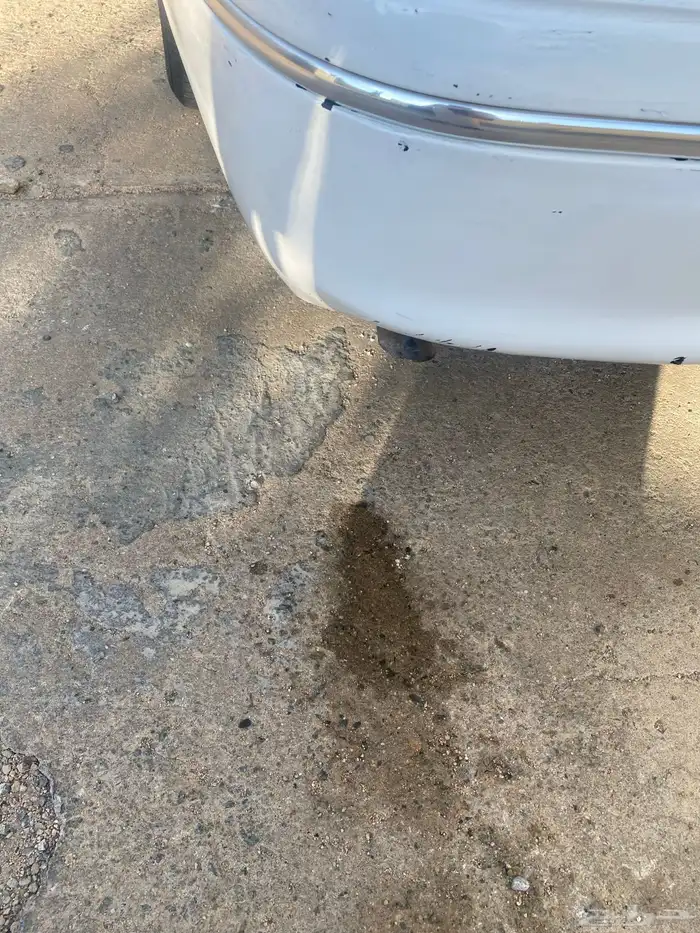 كراون فيكتوريا 2004 80