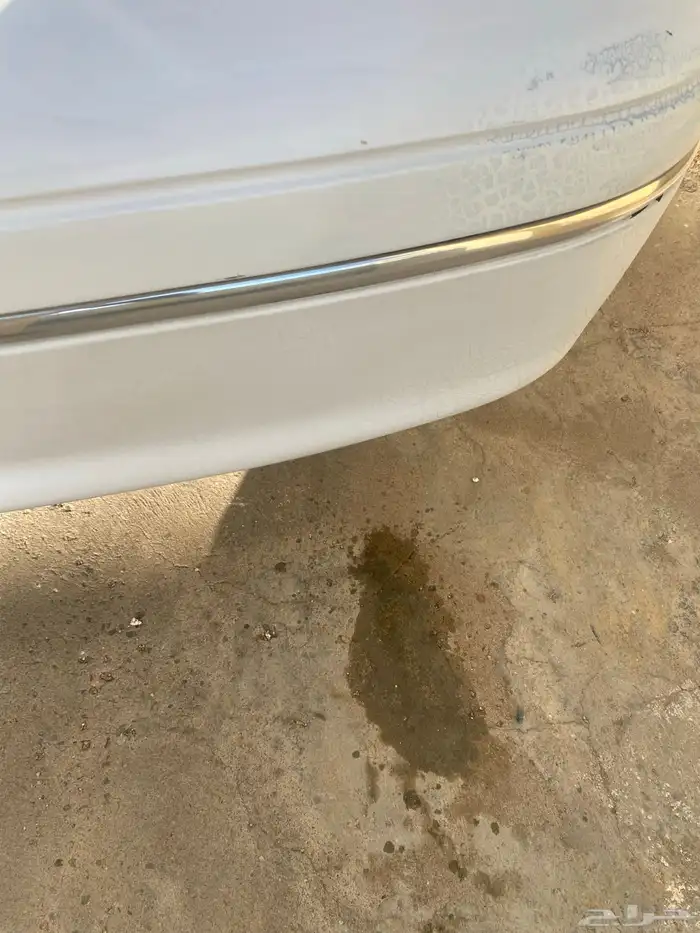 كراون فيكتوريا 2004 79