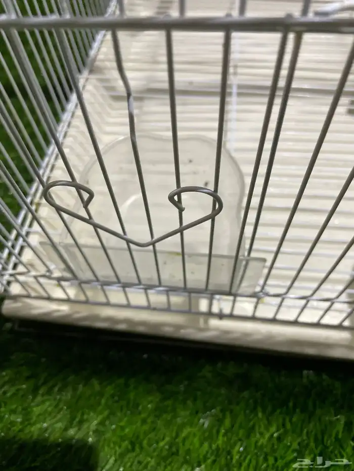 قفص طيور كبير 7