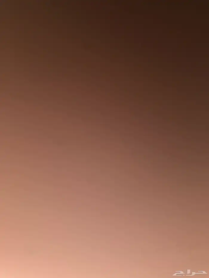 أرانب بلدي للبيع العدد 40 تزيد او تنقص 0