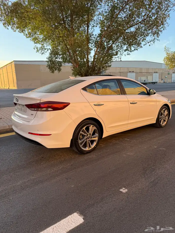 النتراء فل كامل نظيف 0