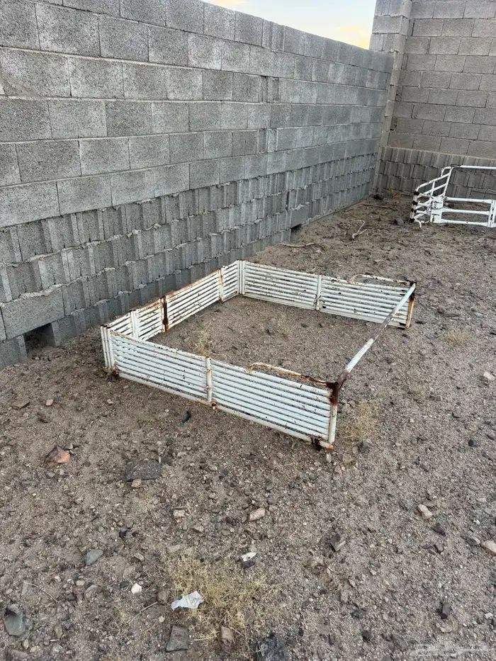 شهد غمار تين 0