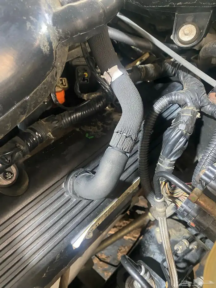 كراون فيكتوريا 2004 31