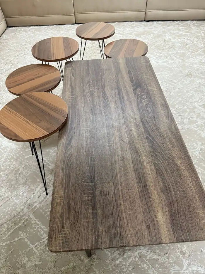 شاشة بلازما   طاولة استقبال   طاولة طعام 0