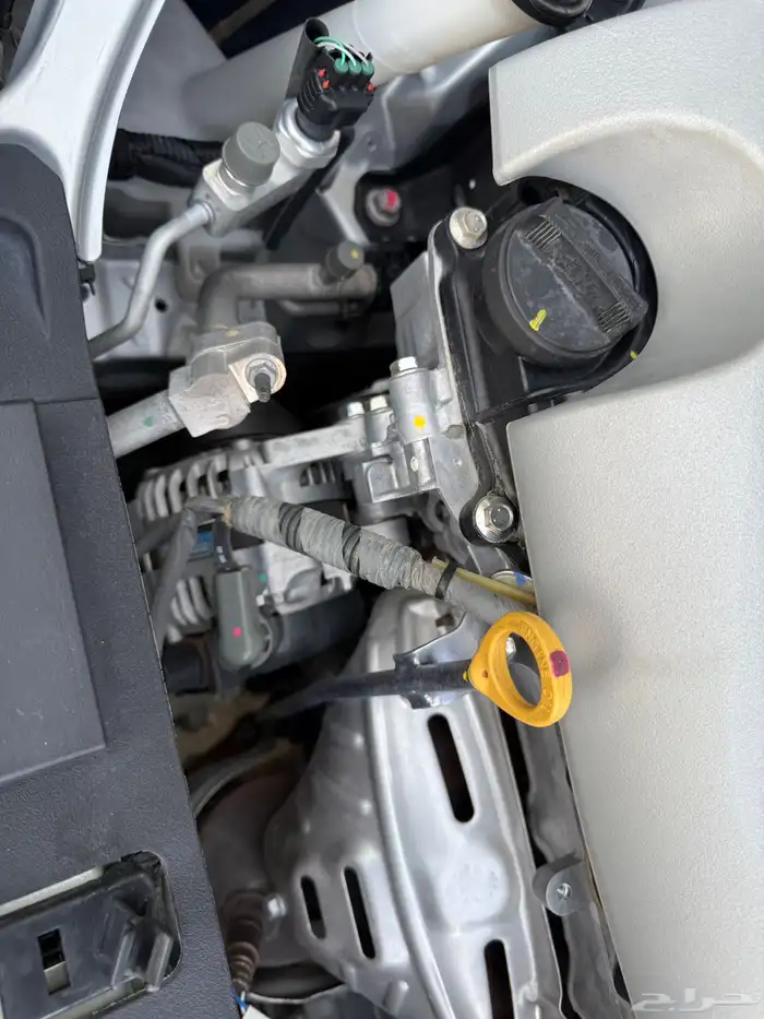 يارس 2022 قمه النظافه 16