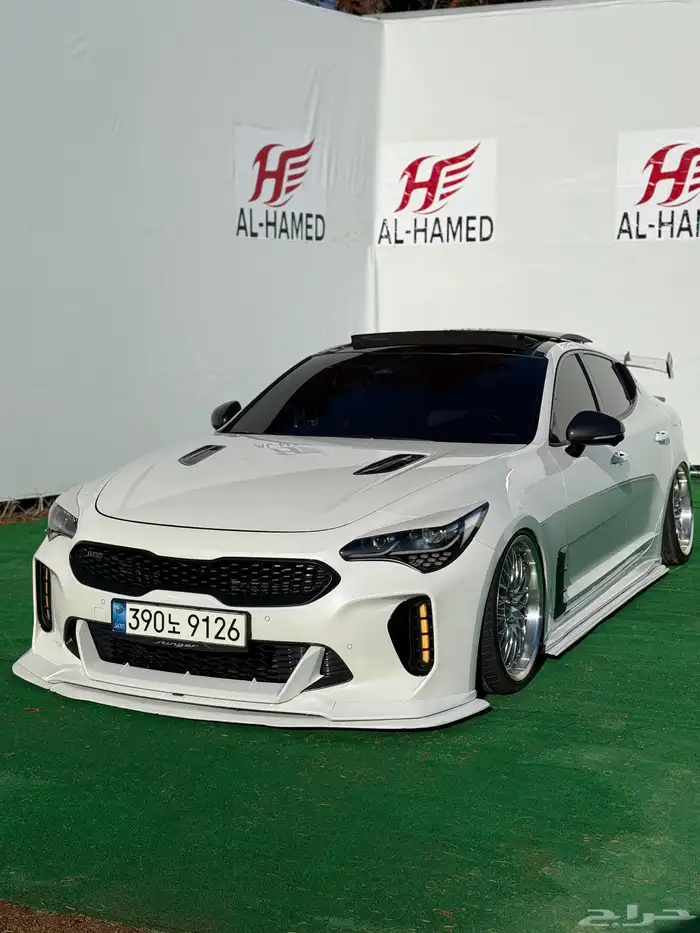 ستينجر وارد كوري 2022 0