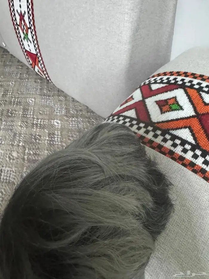 شعر مستعار نفس الاصلي للبيع يوجد حبتين فقط سعر مخفض جدا 2