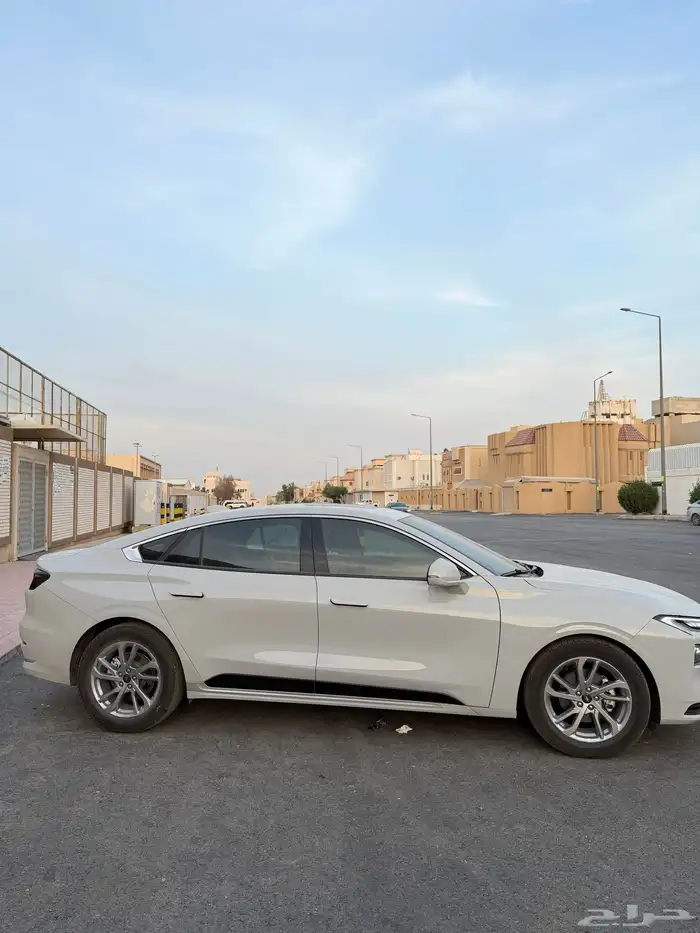 تورس 2024 نص فل 4